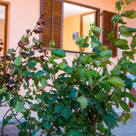 Apartmani A.Teskera Traù Esterno foto
